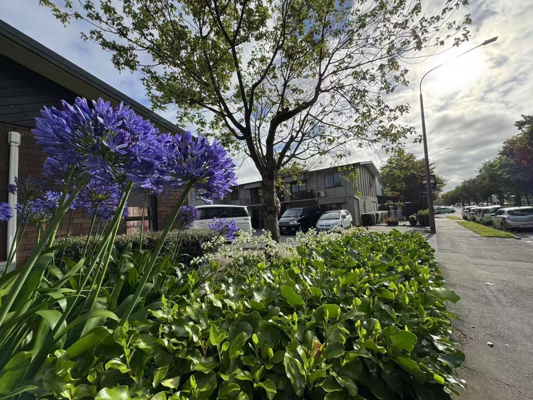 Abbey Motor Lodge Christchurch Exteriör bild